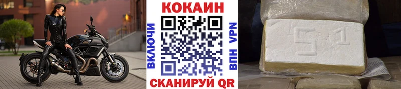 COCAIN Fish Scale  наркотики  Котлас 