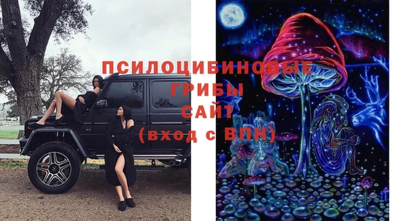 Альфа ПВП Абдулино
