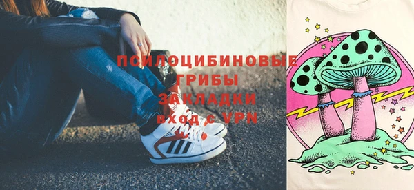 твердый Алзамай