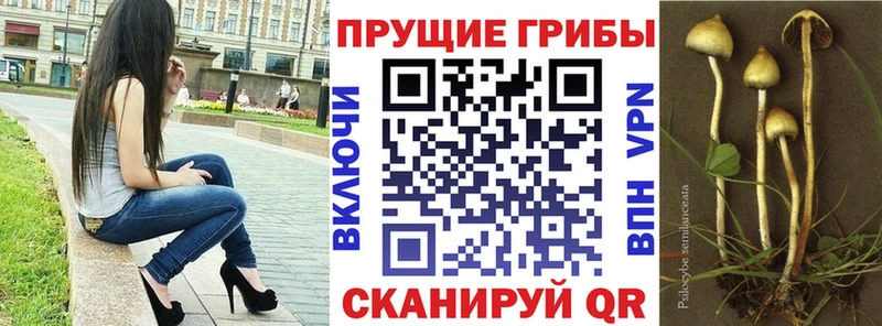blacksprut вход  Котлас  мориарти какой сайт  где купить наркоту  Галлюциногенные грибы MAGIC MUSHROOMS 